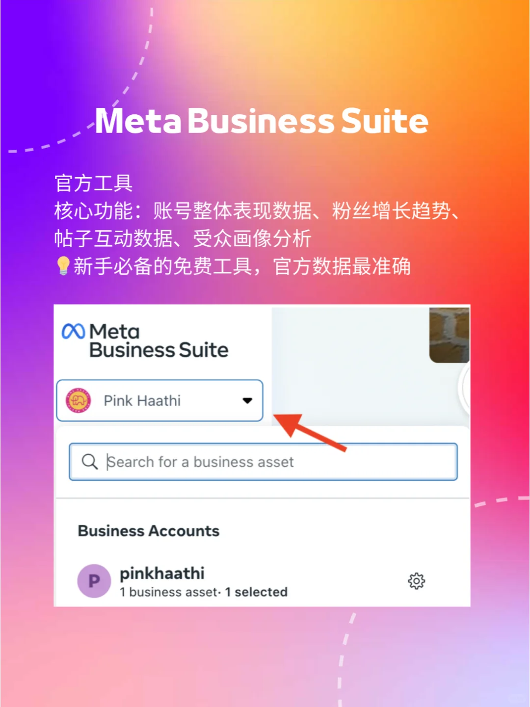 新手运营必备的IG数据分析工具
