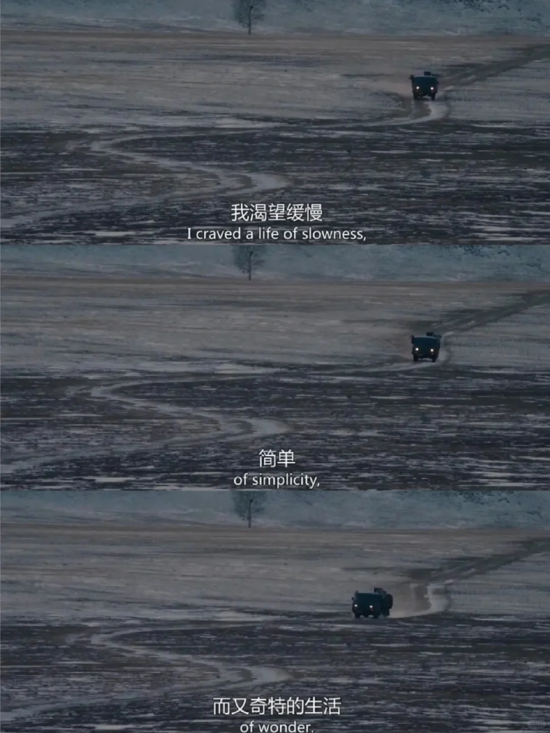 今年最爱的人生电影😭没有之一❗❗❗