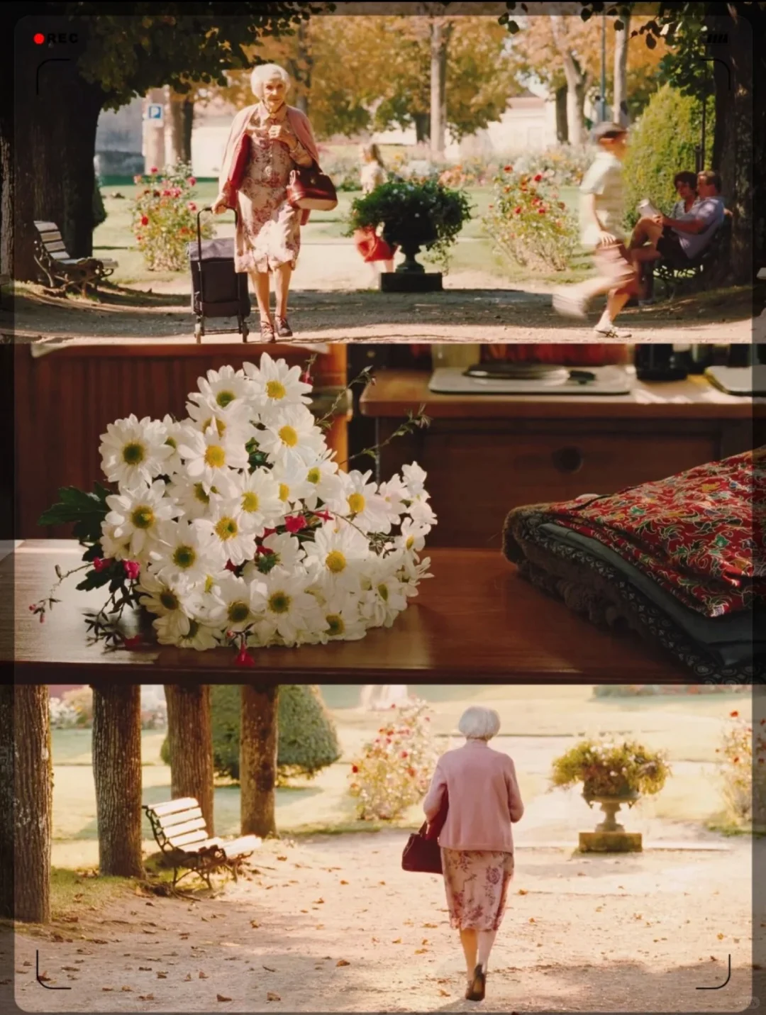 9.9分神作❗️这部治愈电影让我哭成狗🐶 💖