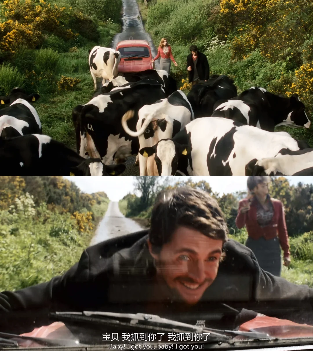 真的要被这部电影笑死😂心情不好就去看❗