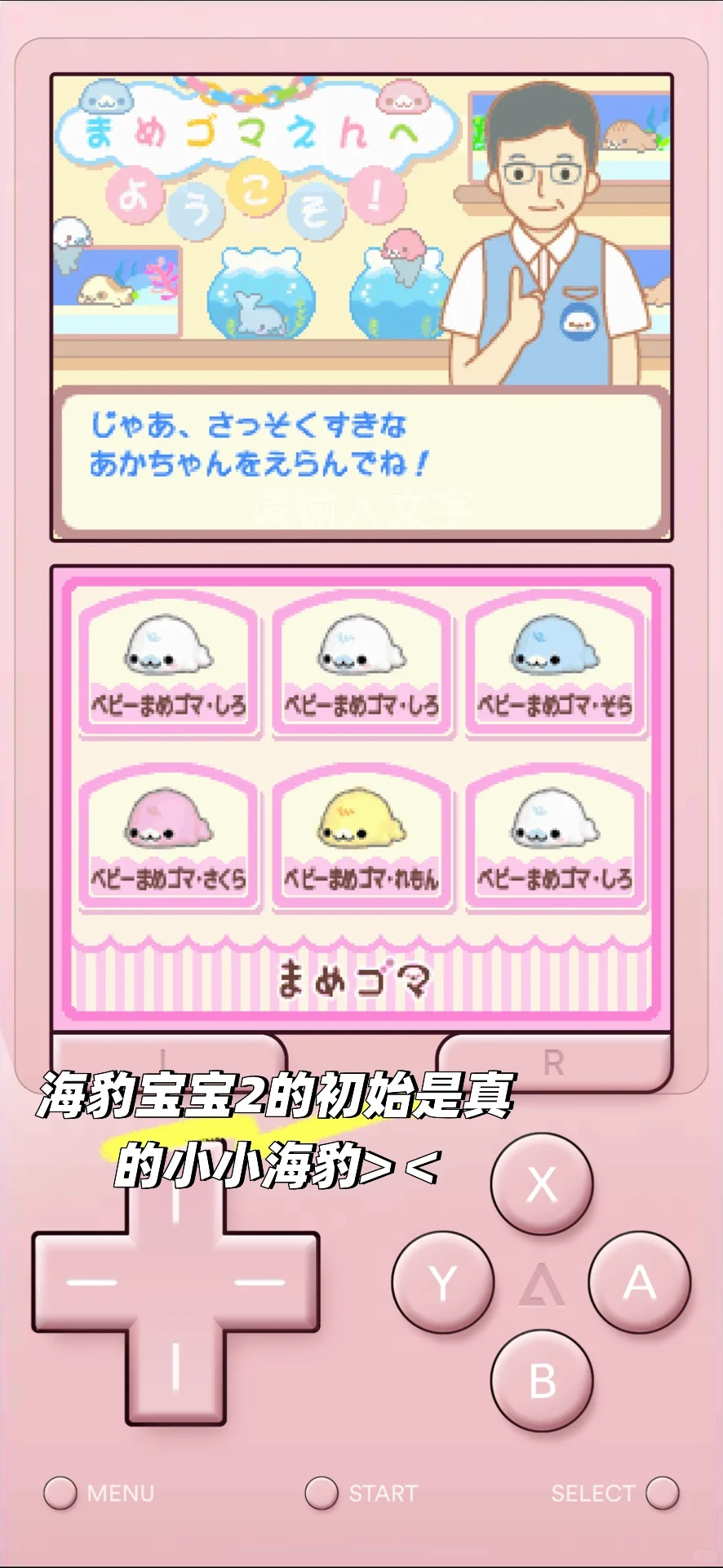 手机上也可以养的超萌的豆芝麻海豹宝宝游戏