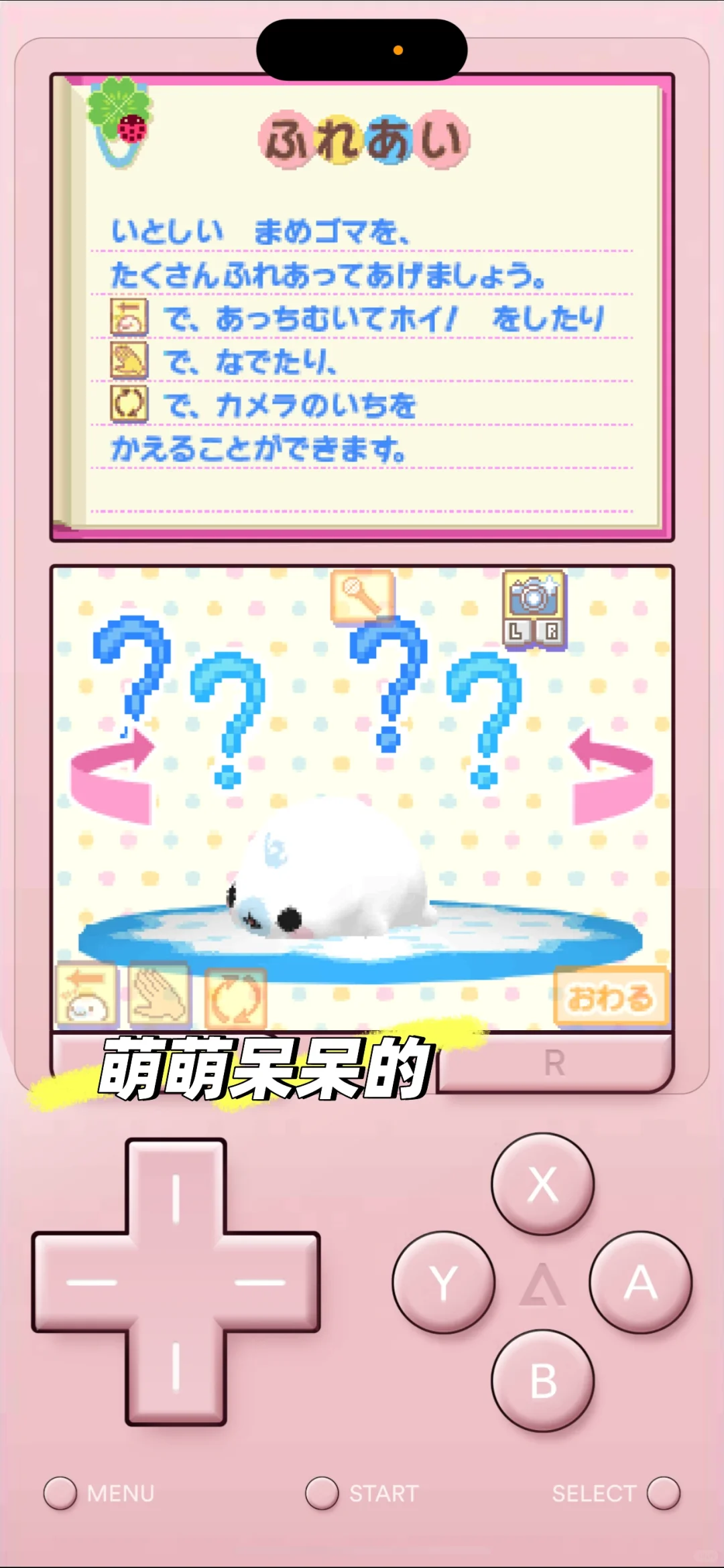 手机上也可以养的超萌的豆芝麻海豹宝宝游戏