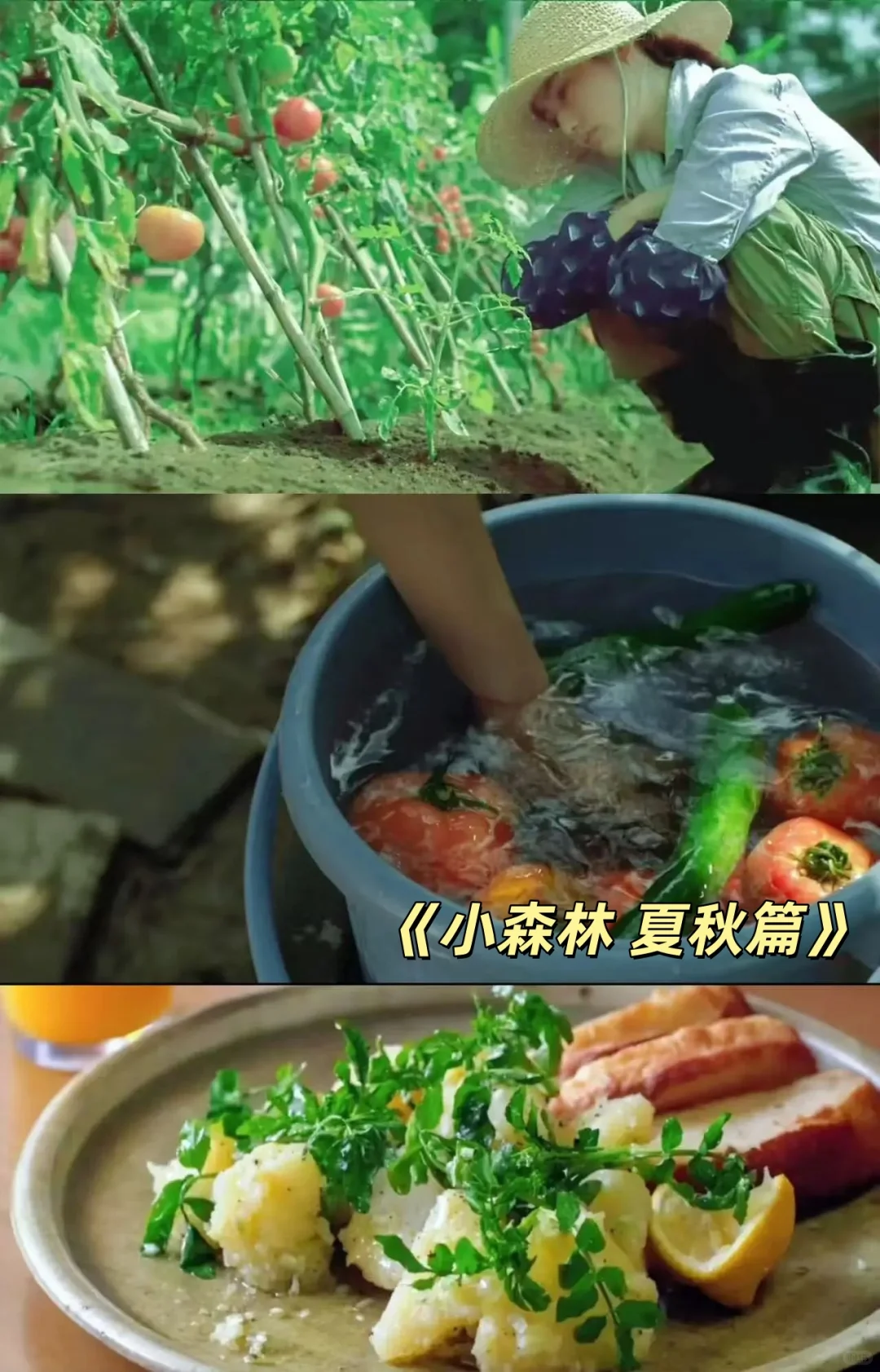 ☀️夏日亲子观影 十部解暑必看电影