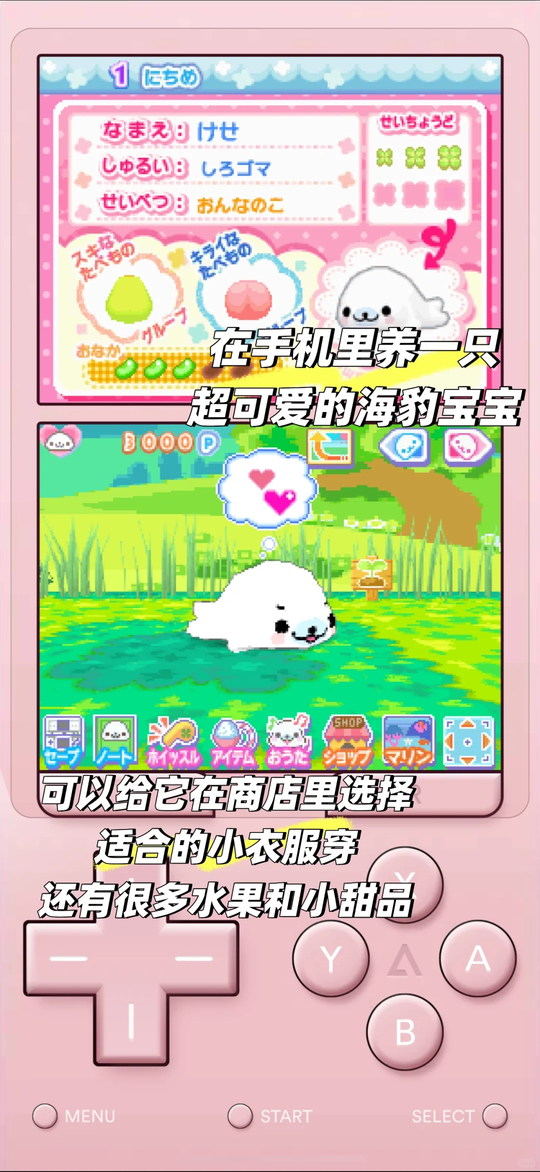 手机上也可以养的超萌的豆芝麻海豹宝宝游戏