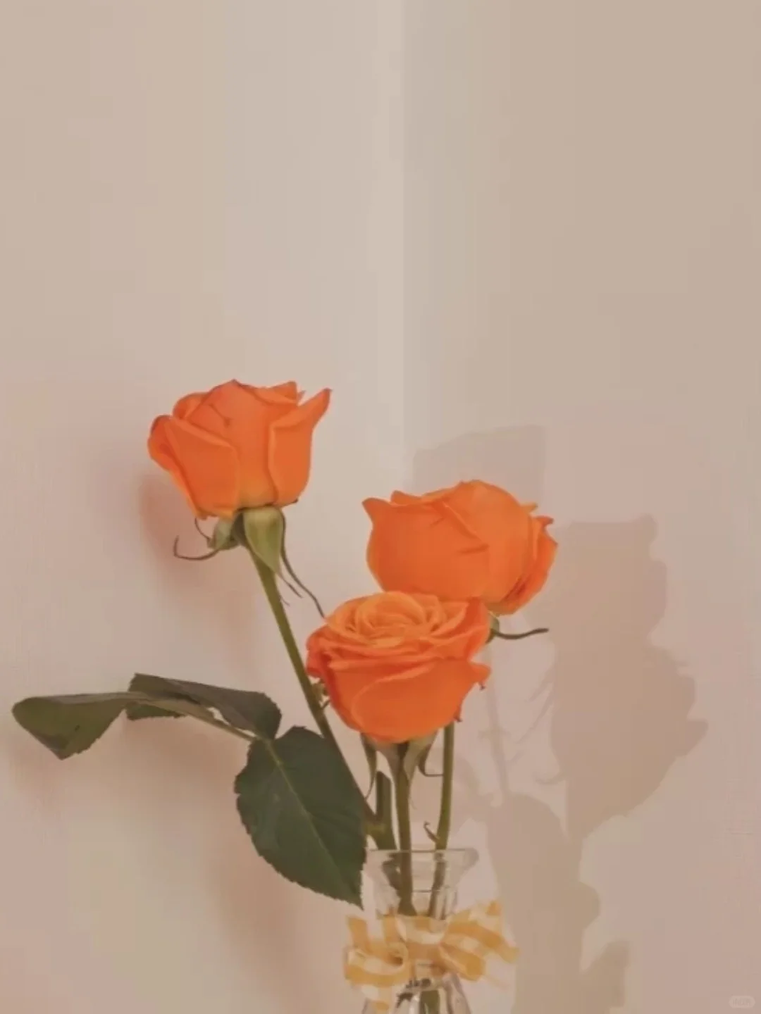 换个插件换个心情