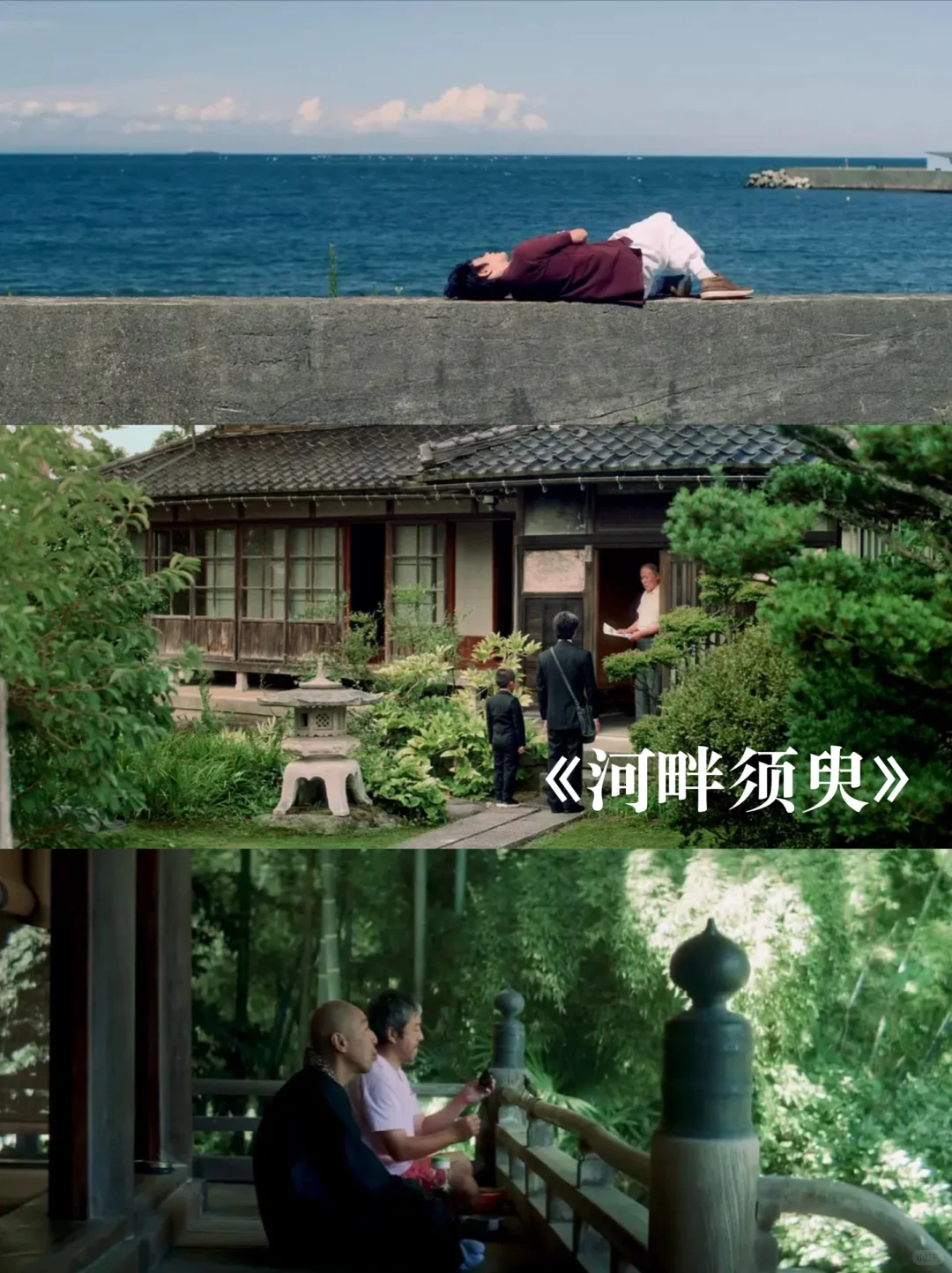 12部适合夏天宅家看的美学治yu电影