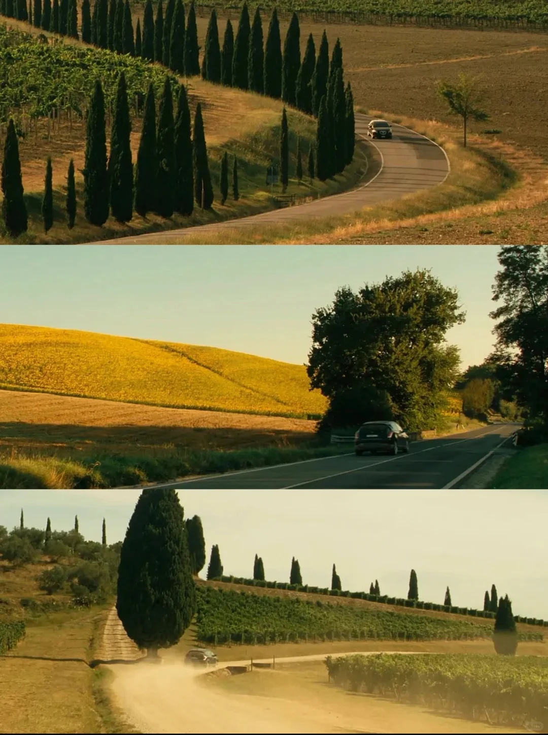 值得N刷❗️看完直接想去意大利💓