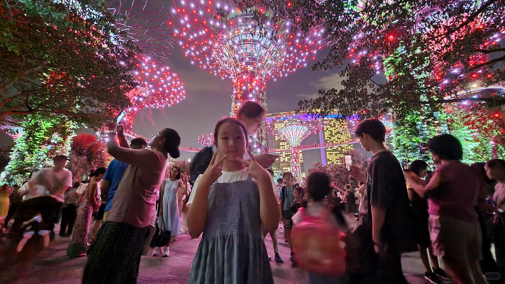 新加坡入境卡，逐步填写详解！（家庭出游）