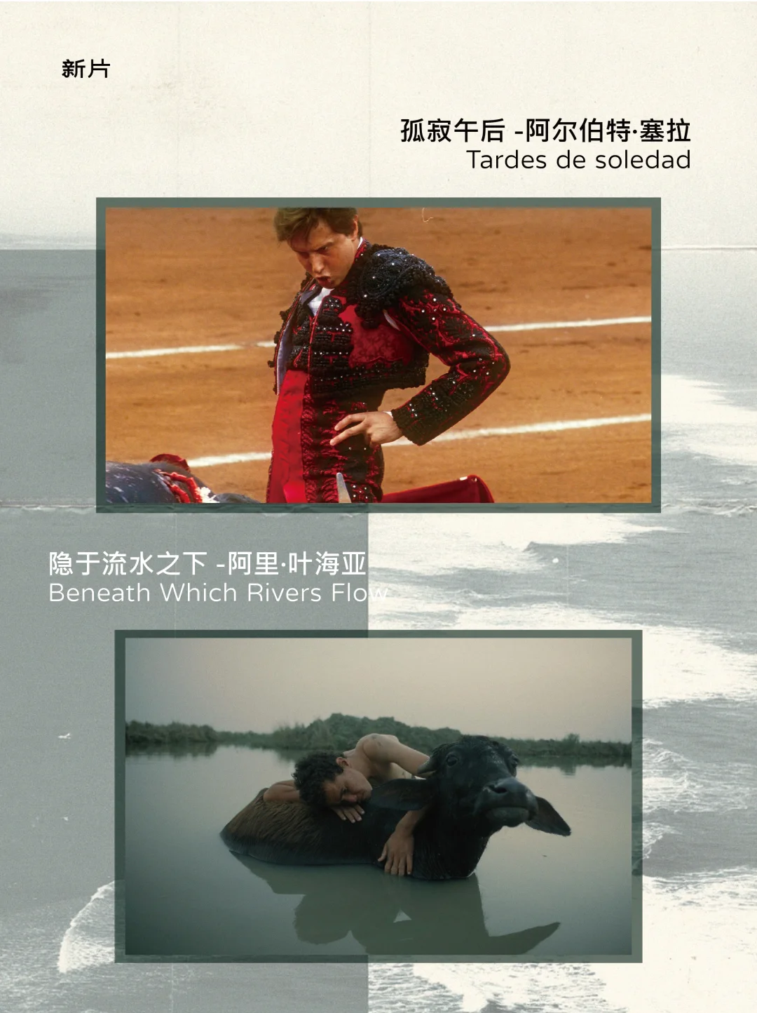 2025上半年我喜爱的电影