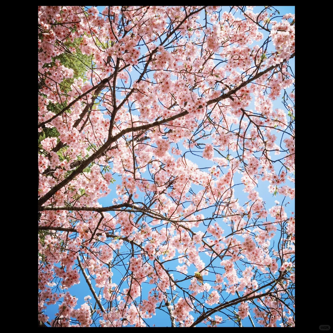 Apple ProRAW 已是 Next Level