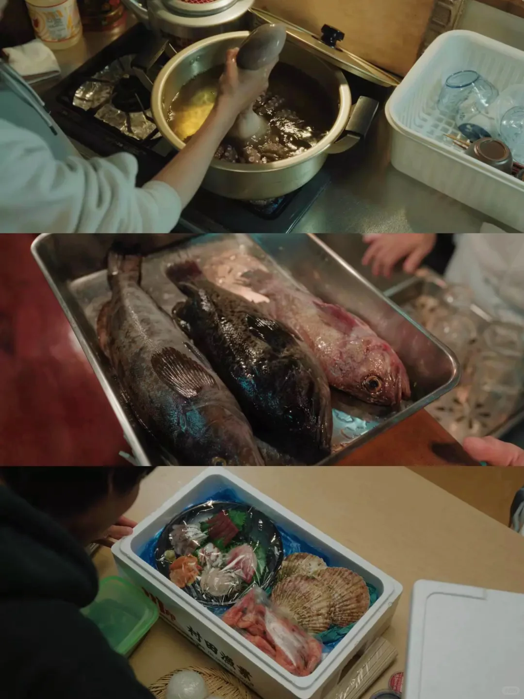 今年看过蕞棒的日影❗️被狠狠治愈到了‼️