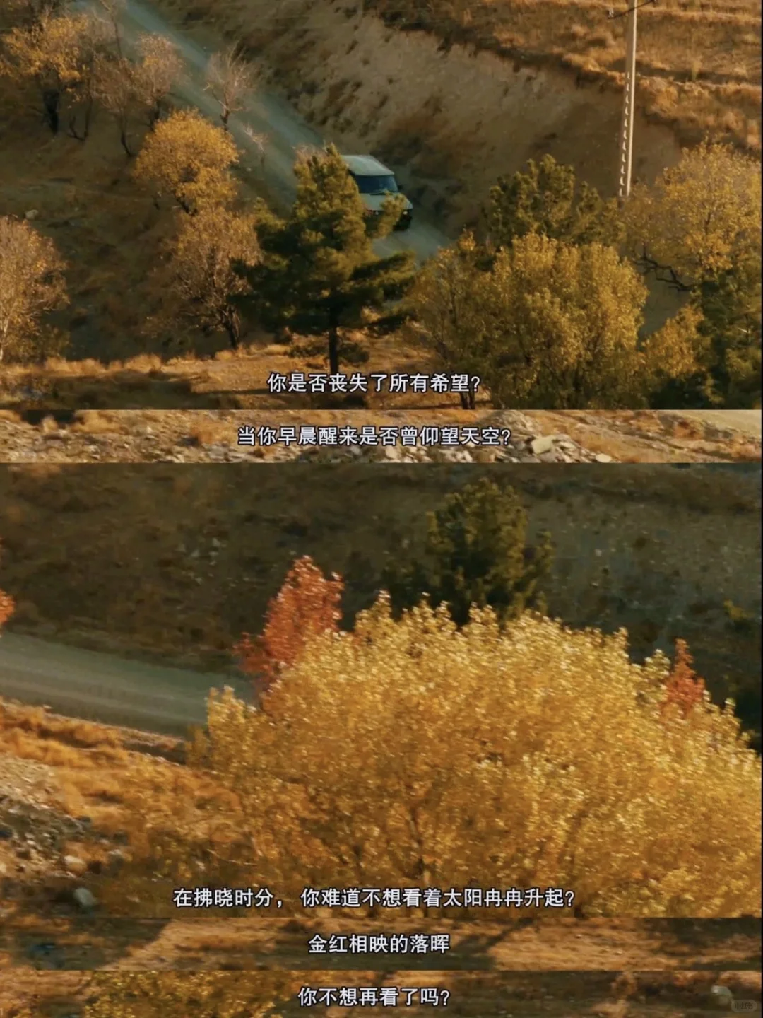 不愧是顶级哲学电影！！！😭后劲太大了…