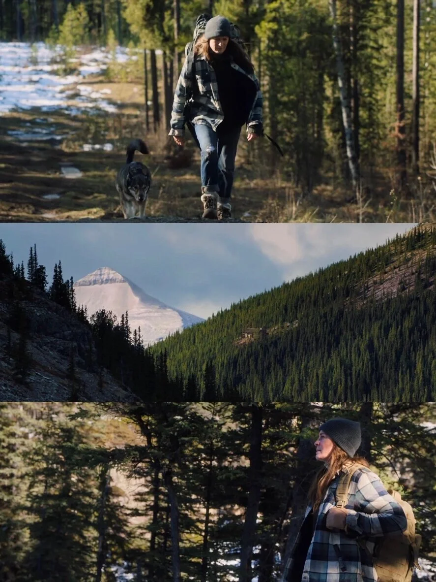 本人最爱的人生电影，没有之一!!!