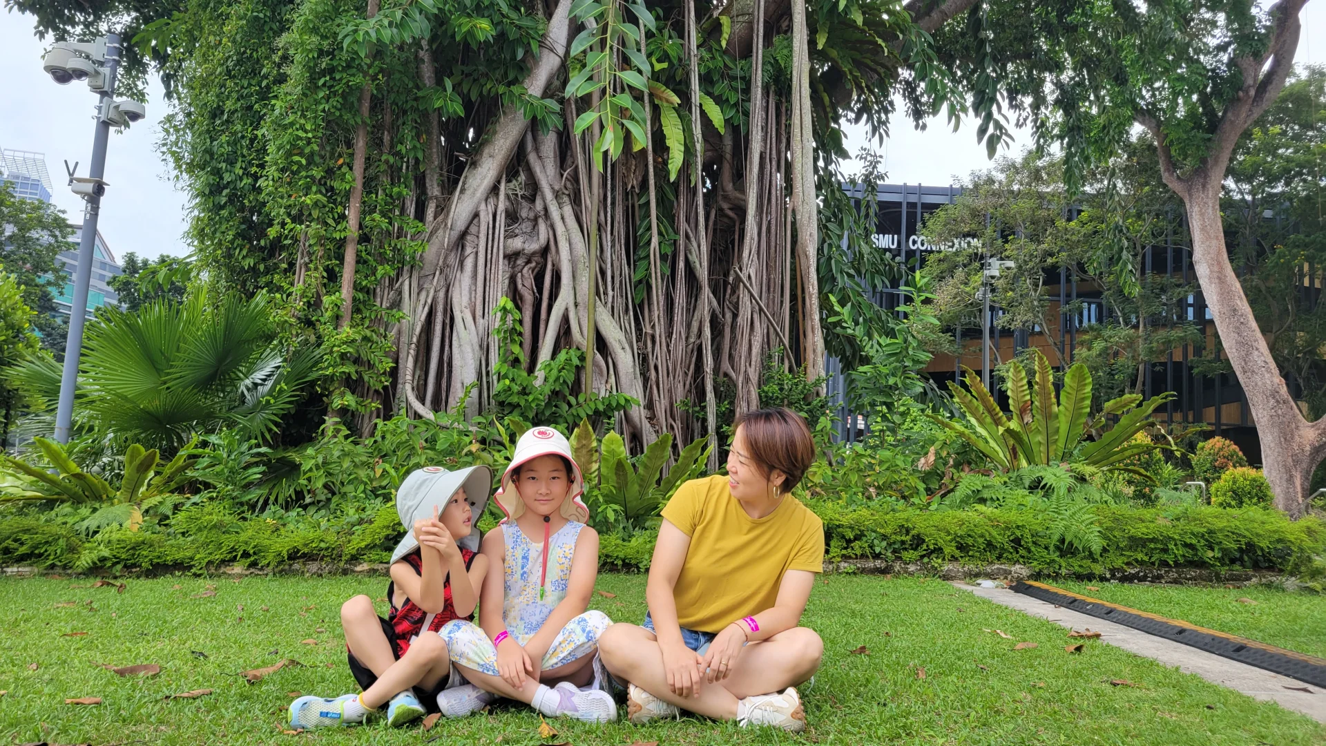 新加坡入境卡，逐步填写详解！（家庭出游）