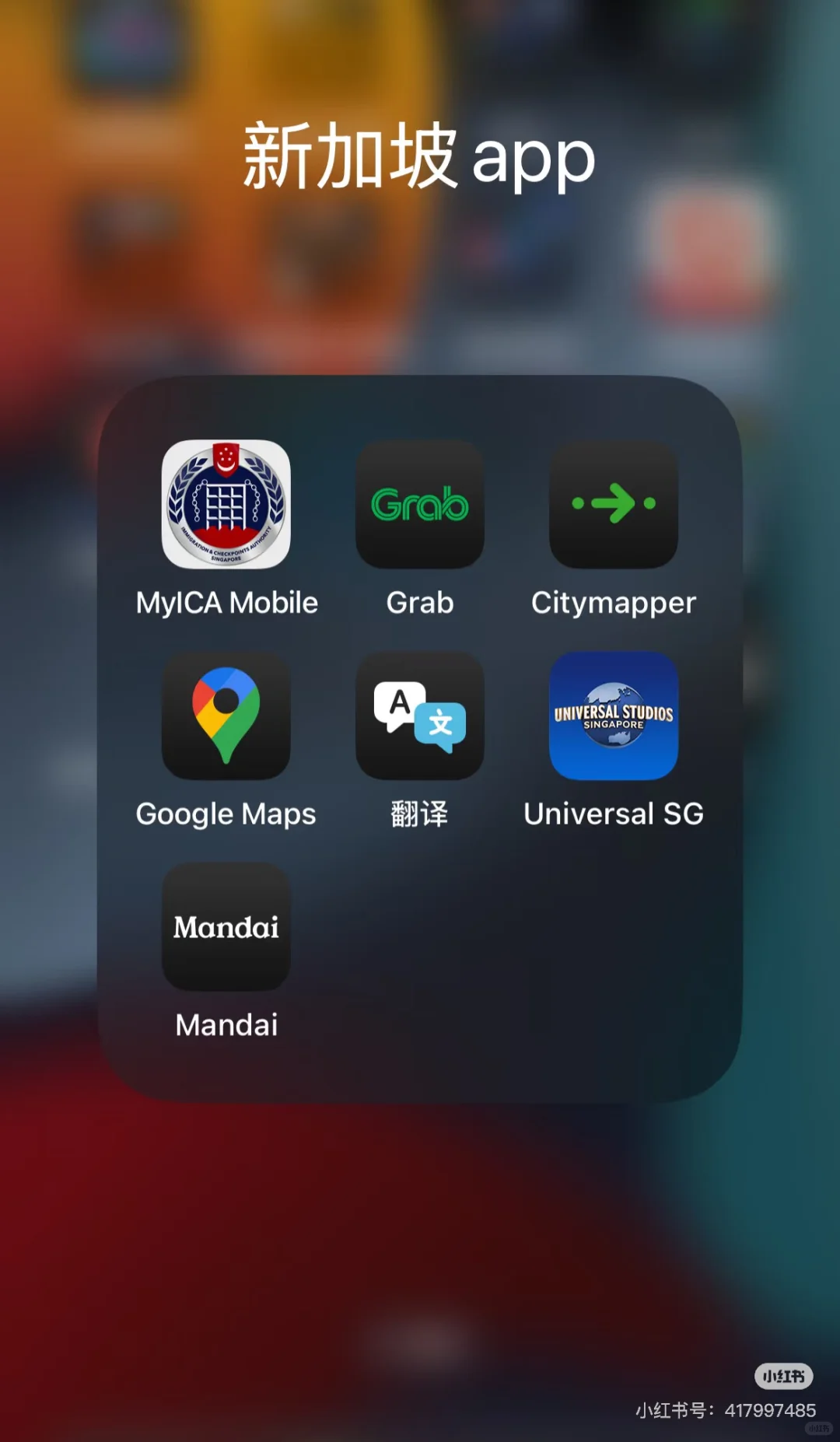 新加坡入境卡，逐步填写详解！（家庭出游）