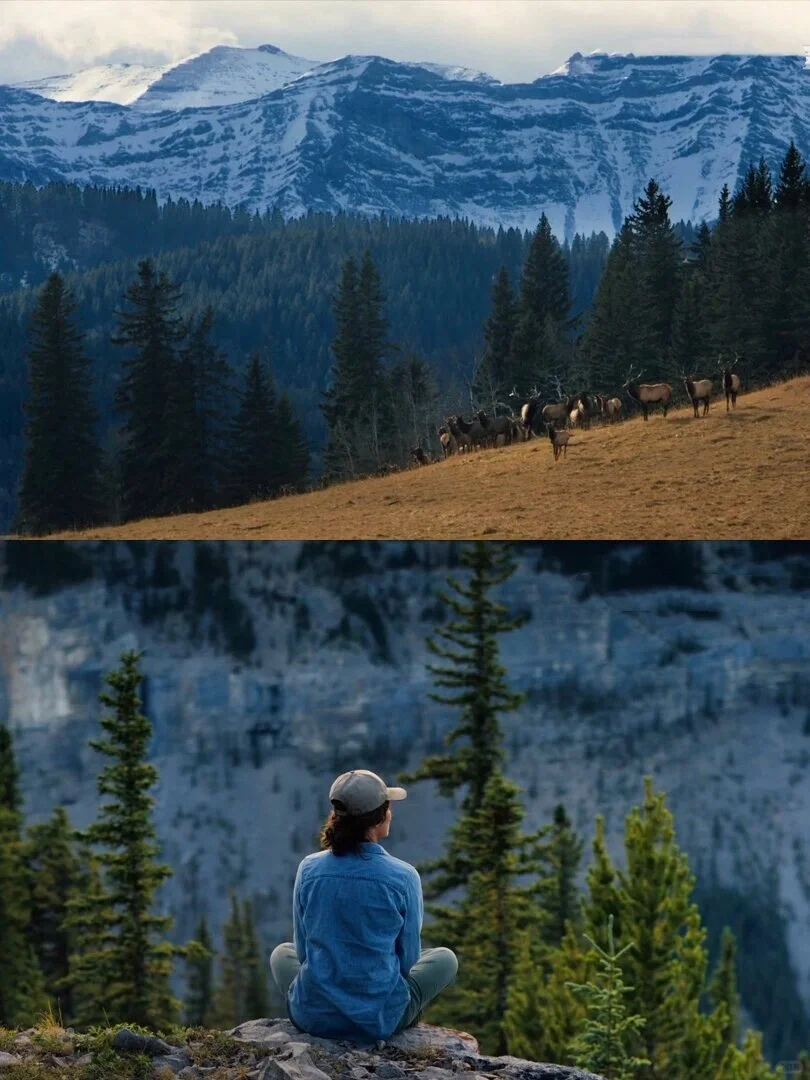 本人最爱的人生电影，没有之一!!!
