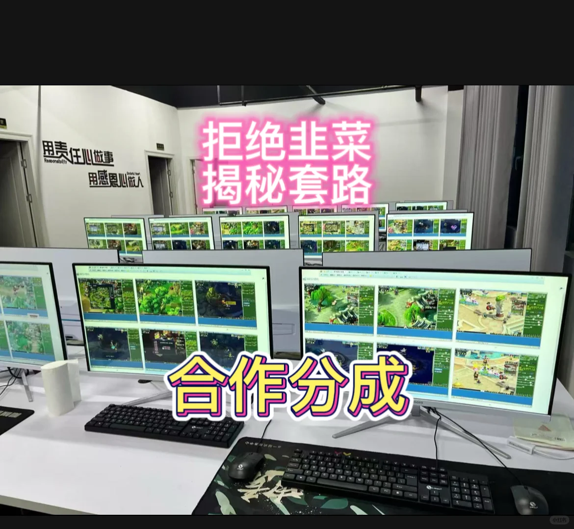 💕游戏搬砖 拒绝镰刀 合作分成💕