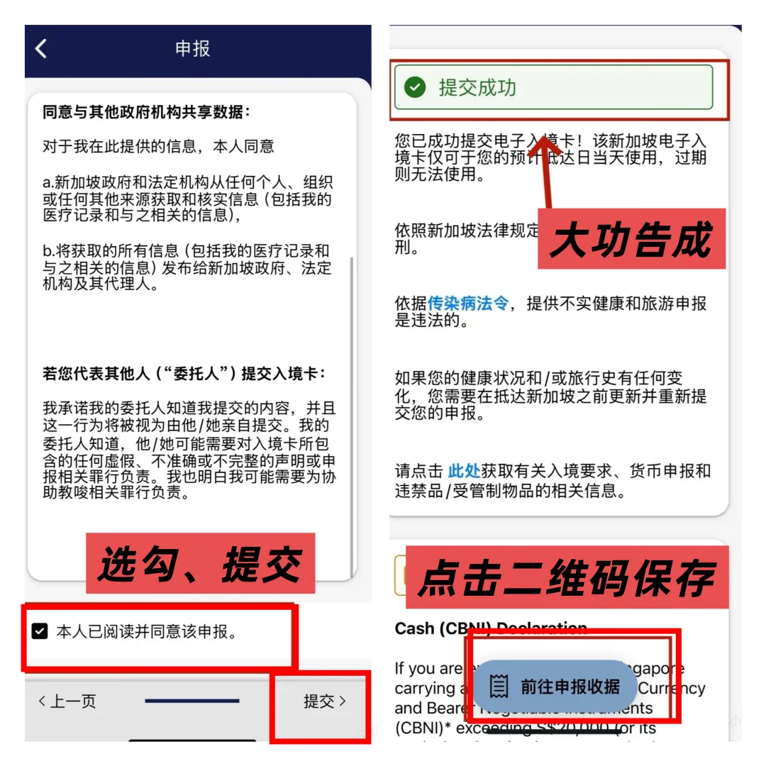 新加坡入境卡，逐步填写详解！（家庭出游）