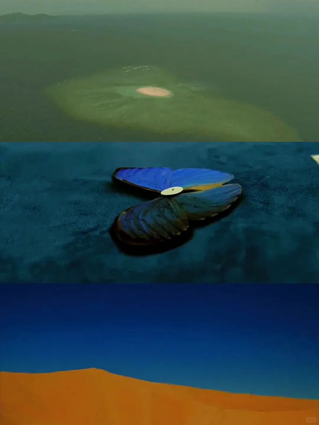 😭这部电影有审美牛逼症❗❗❗