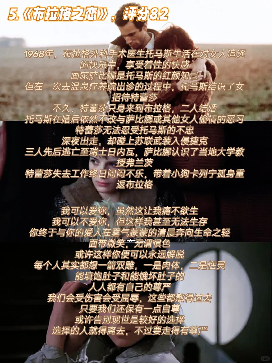 宝子们快码住这波片单！