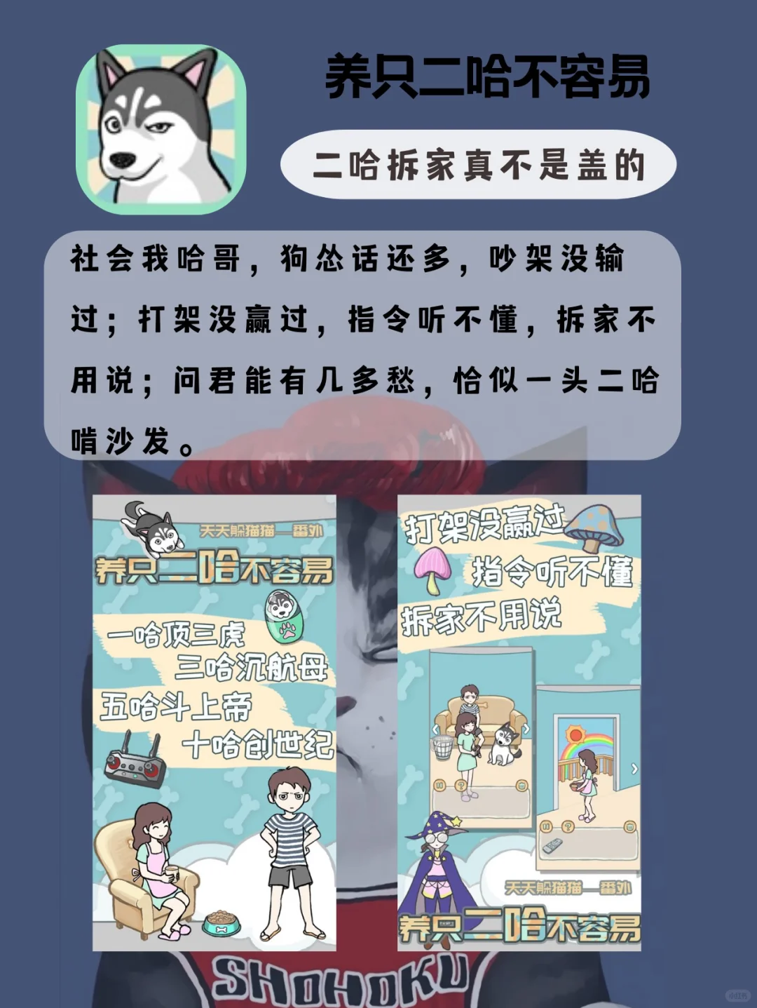 ✨沙雕解压游戏app推荐✨