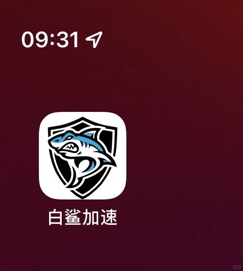 白鲨加速终于又回来啦啦啦 开心😄
