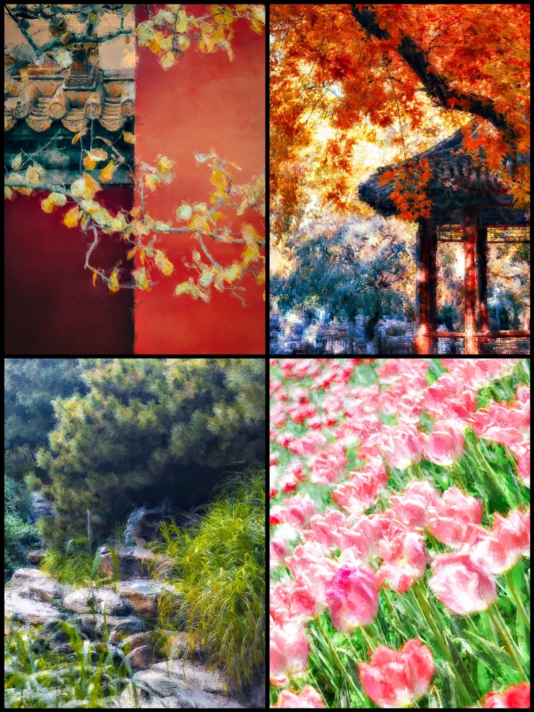 把照片变成油画风｜PS插件使用教程🎨