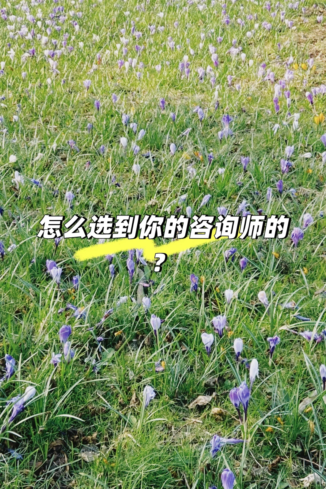 你是怎么选到你的咨询师的？