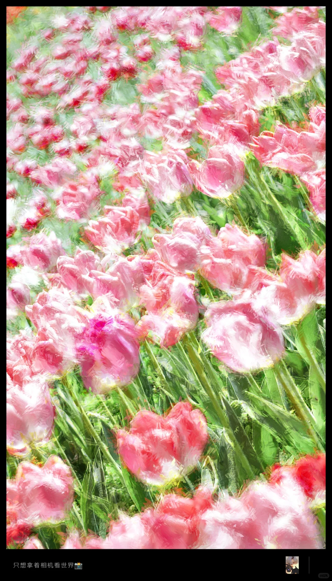 把照片变成油画风｜PS插件使用教程🎨