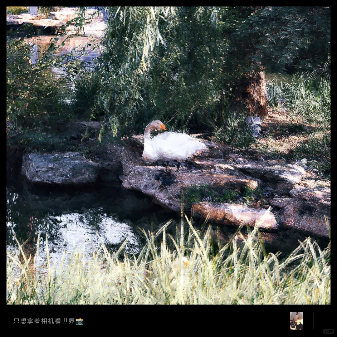 把照片变成油画风｜PS插件使用教程🎨