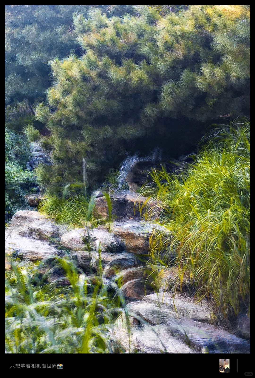 把照片变成油画风｜PS插件使用教程🎨