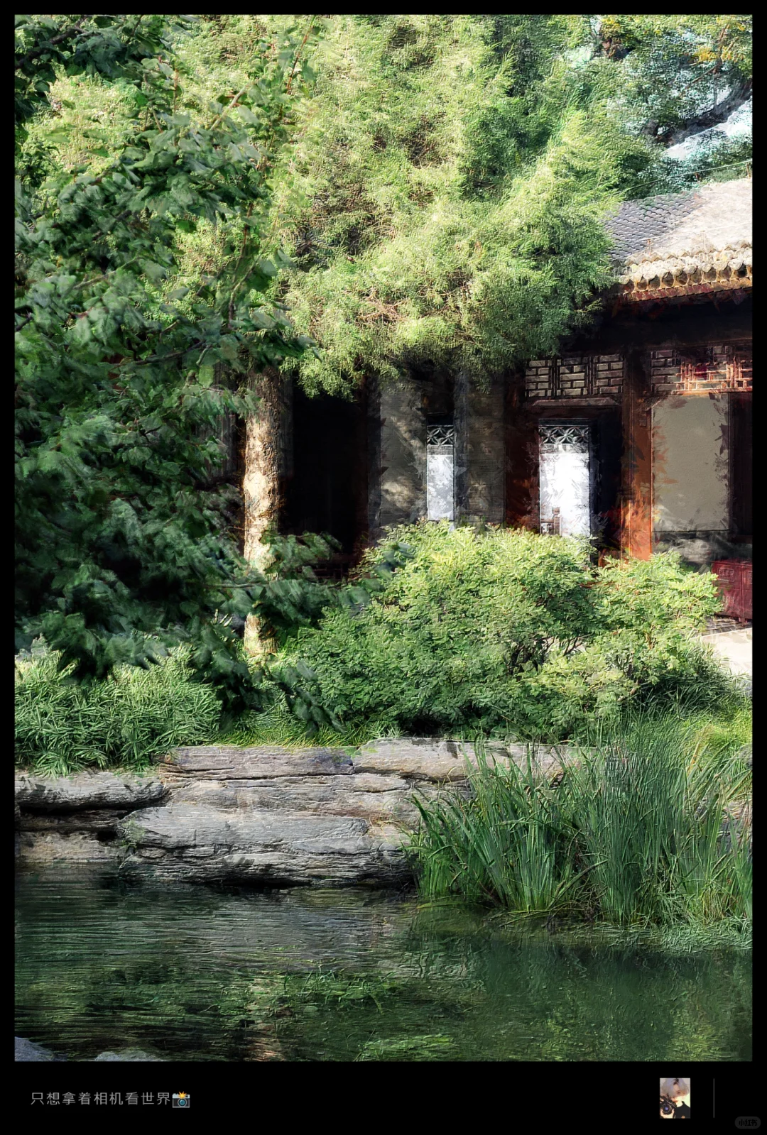 把照片变成油画风｜PS插件使用教程🎨