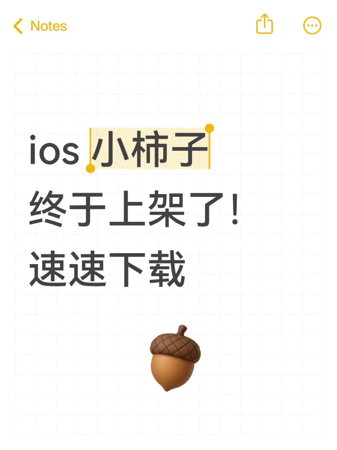 ios小柿子终于上架了！
