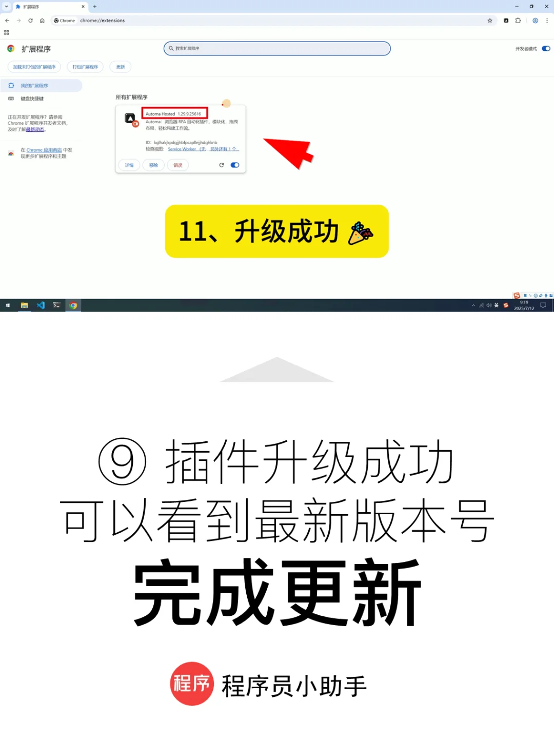 Automa 常见问题 15：如何升级最新版插件