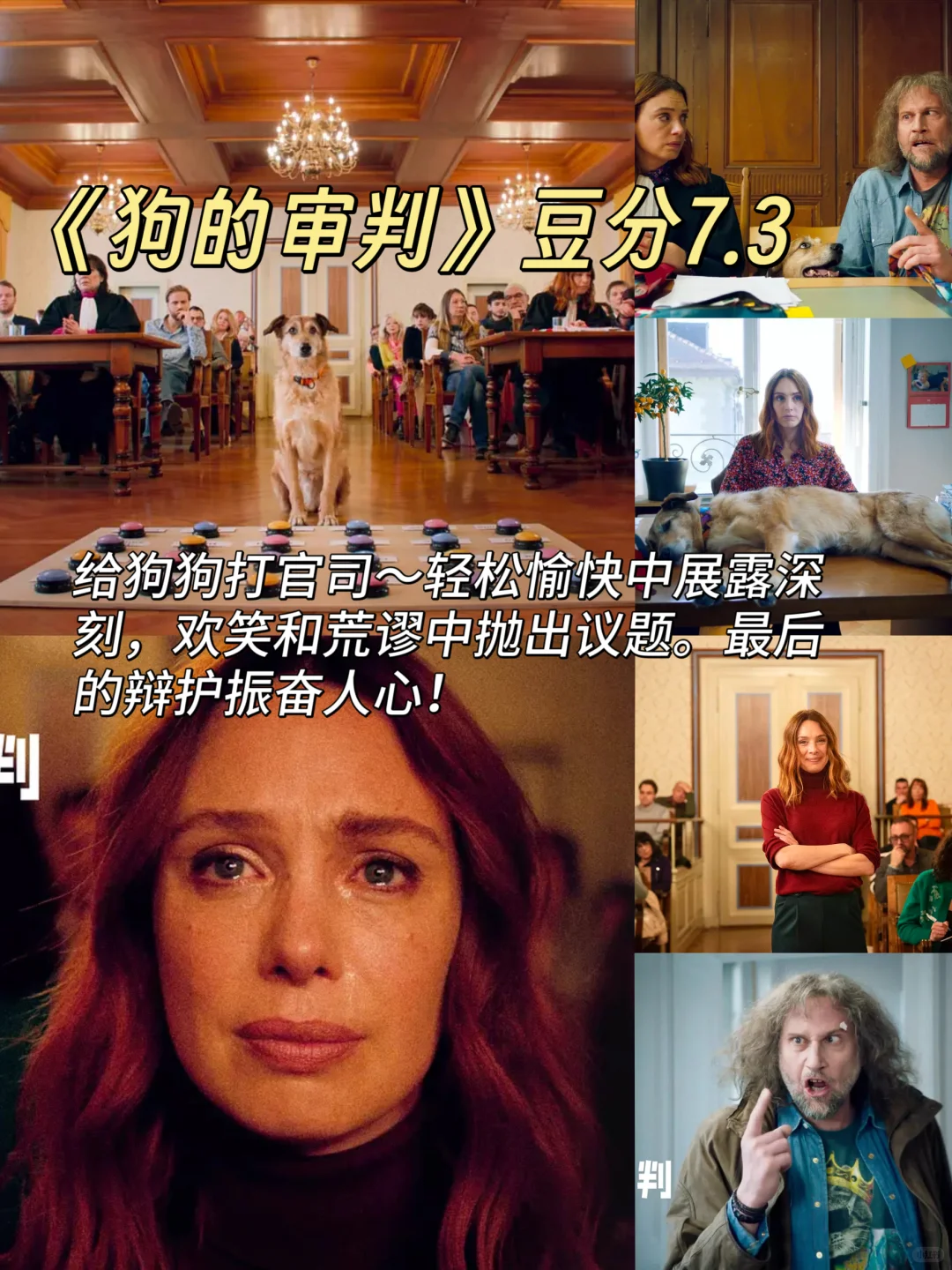 拯救不开心！🎬7部超治愈猫狗电影清单请收好