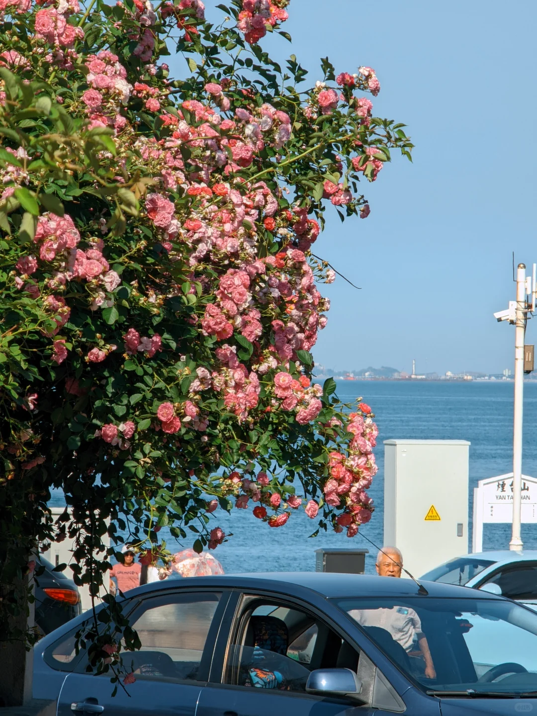 安卓机的「贵替」DAZZ，千元机也能拍出来！