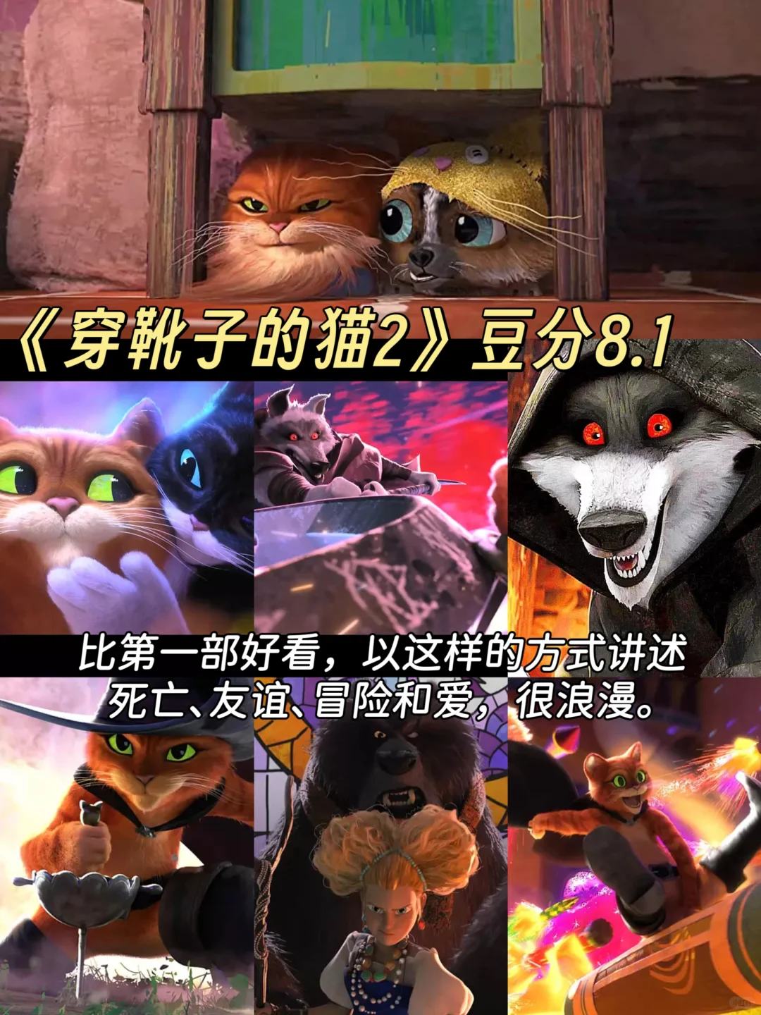 拯救不开心！🎬7部超治愈猫狗电影清单请收好