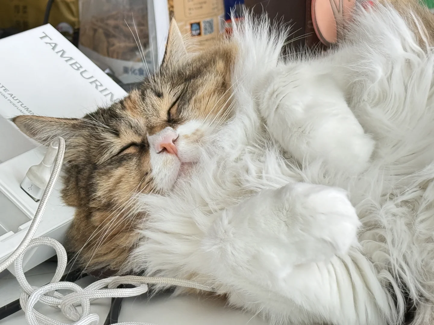 给自己招一个咨询项目的实习生