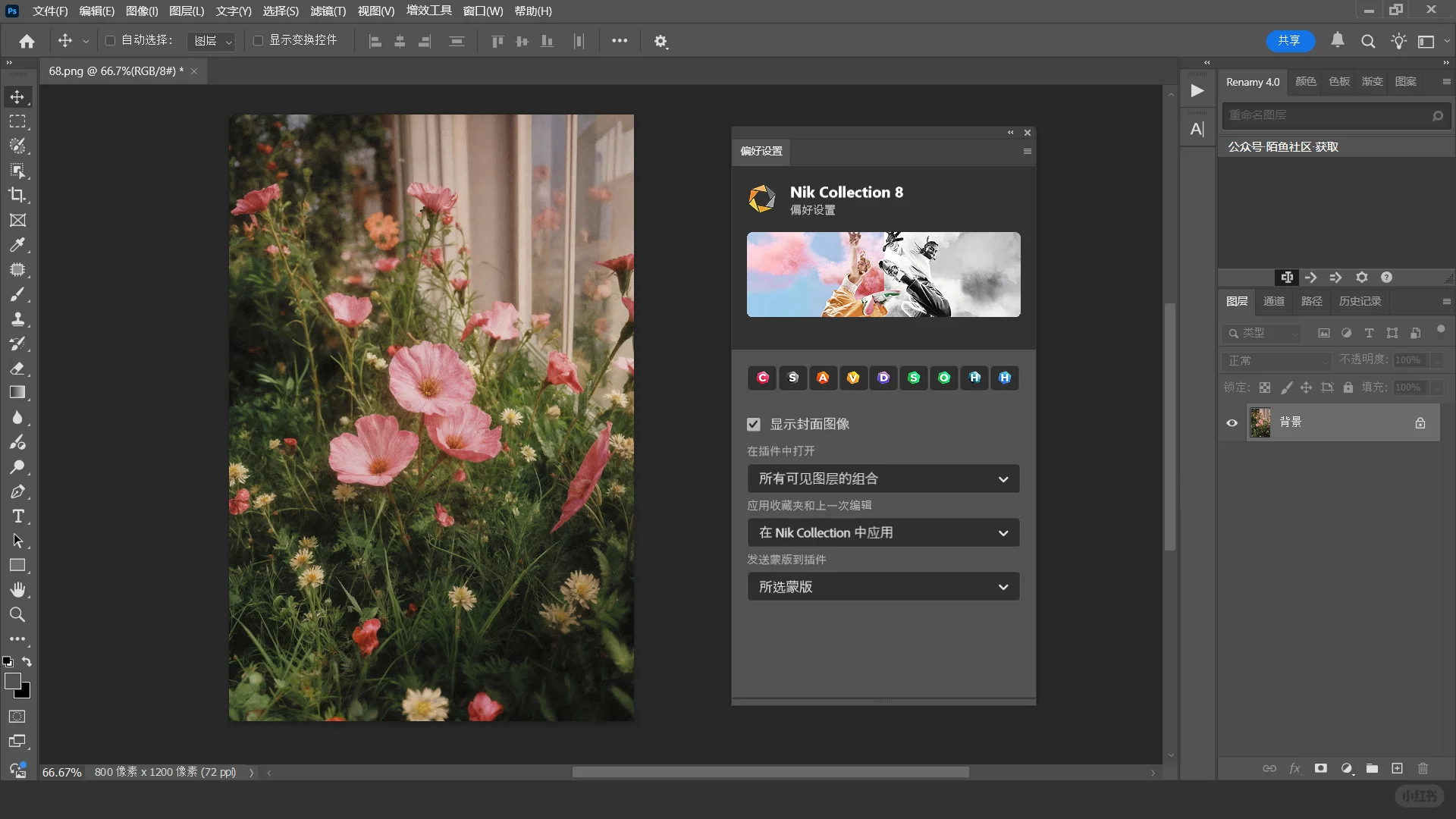 PS2025后期修图神器Nik Collection 8.1插件