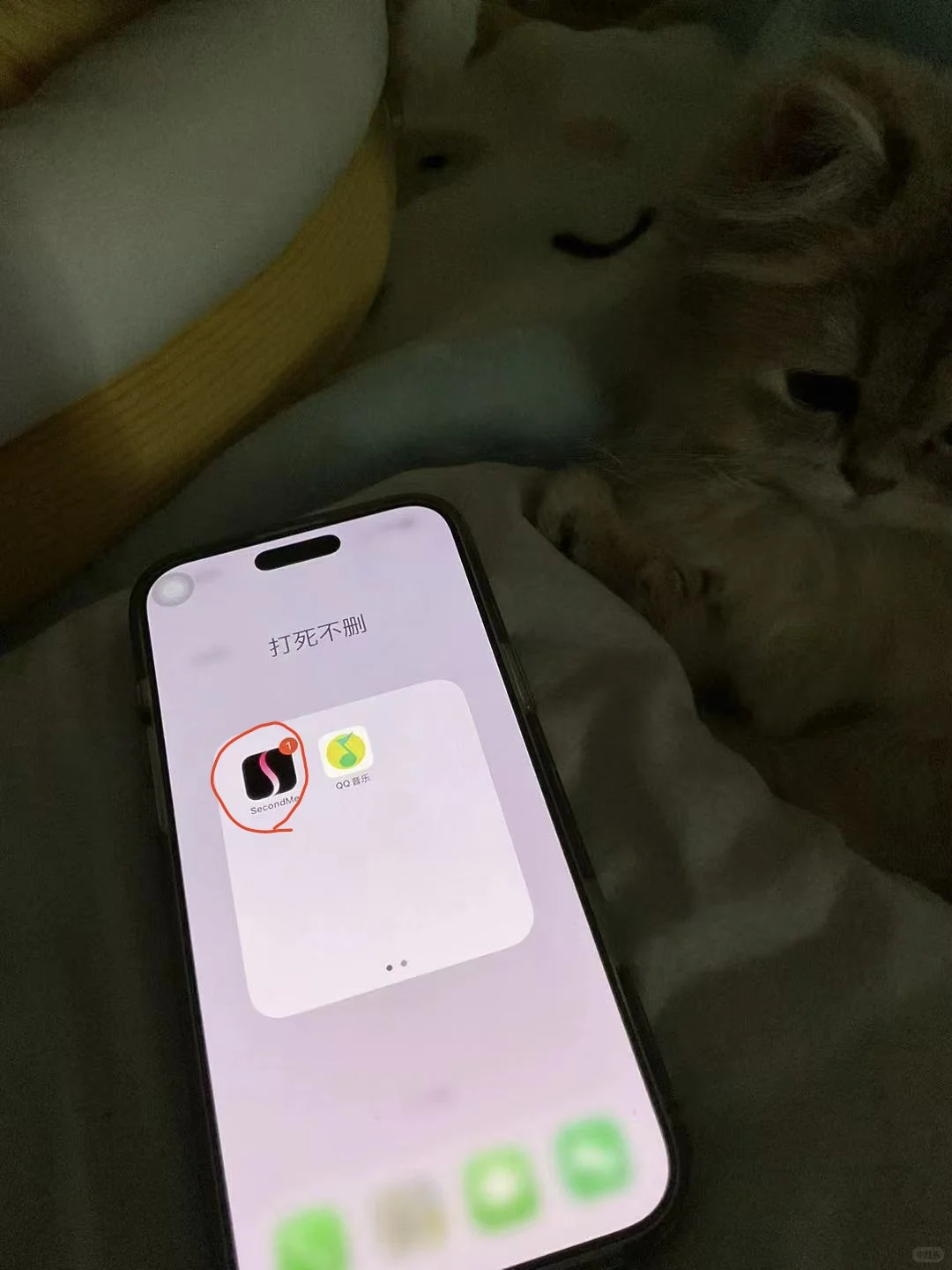 谁还不知道这款社交APP！