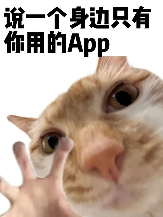 有没有身边只有你用的APP？