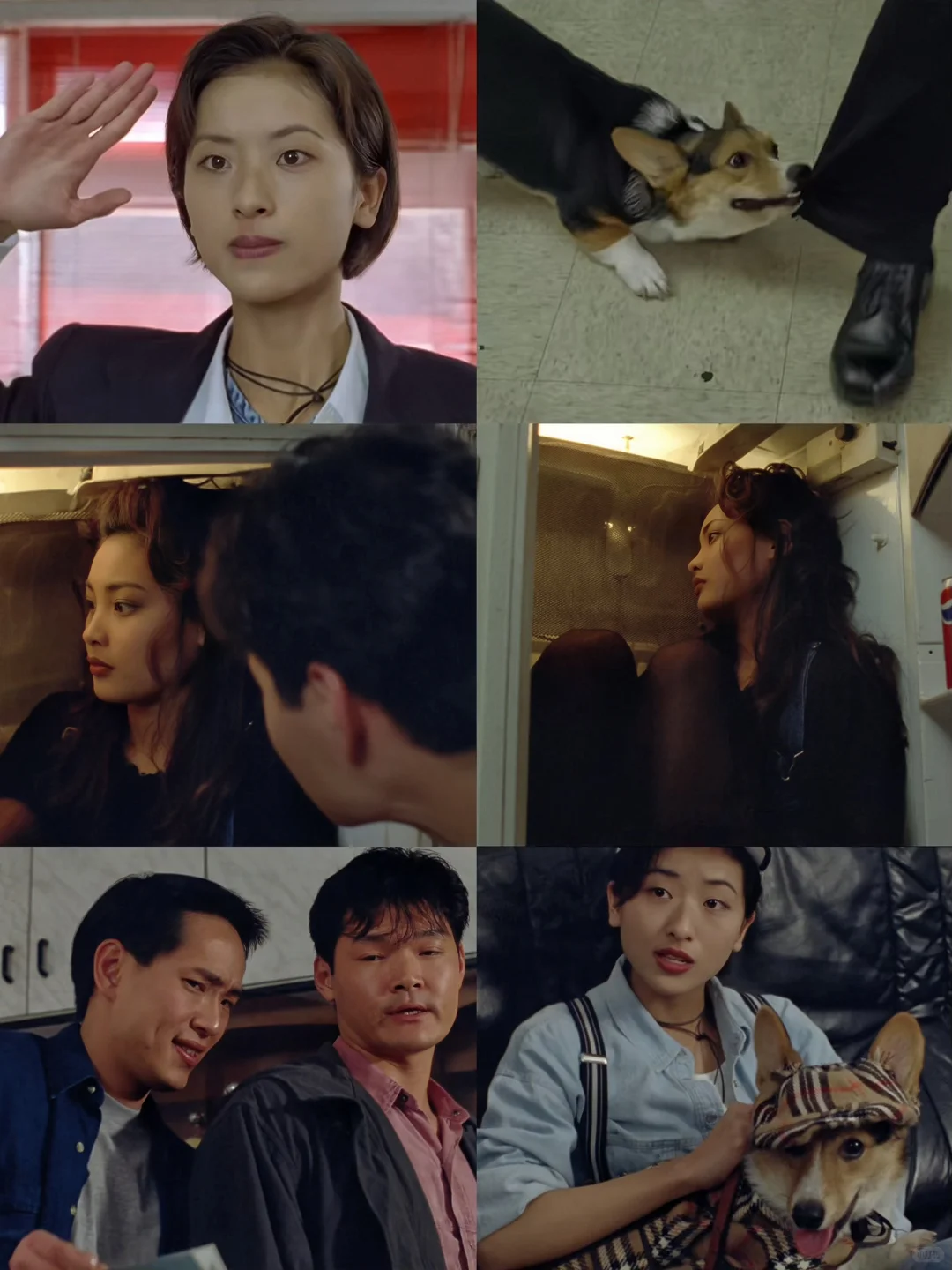 tvb惊悚电影‼️十字架之谜❗️彻底鲨疯