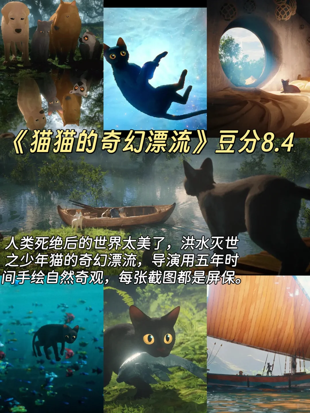 拯救不开心！🎬7部超治愈猫狗电影清单请收好