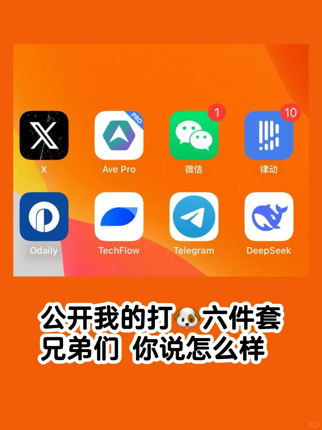 🔥打🐶工具大公开！6件套让你快人一步🚀