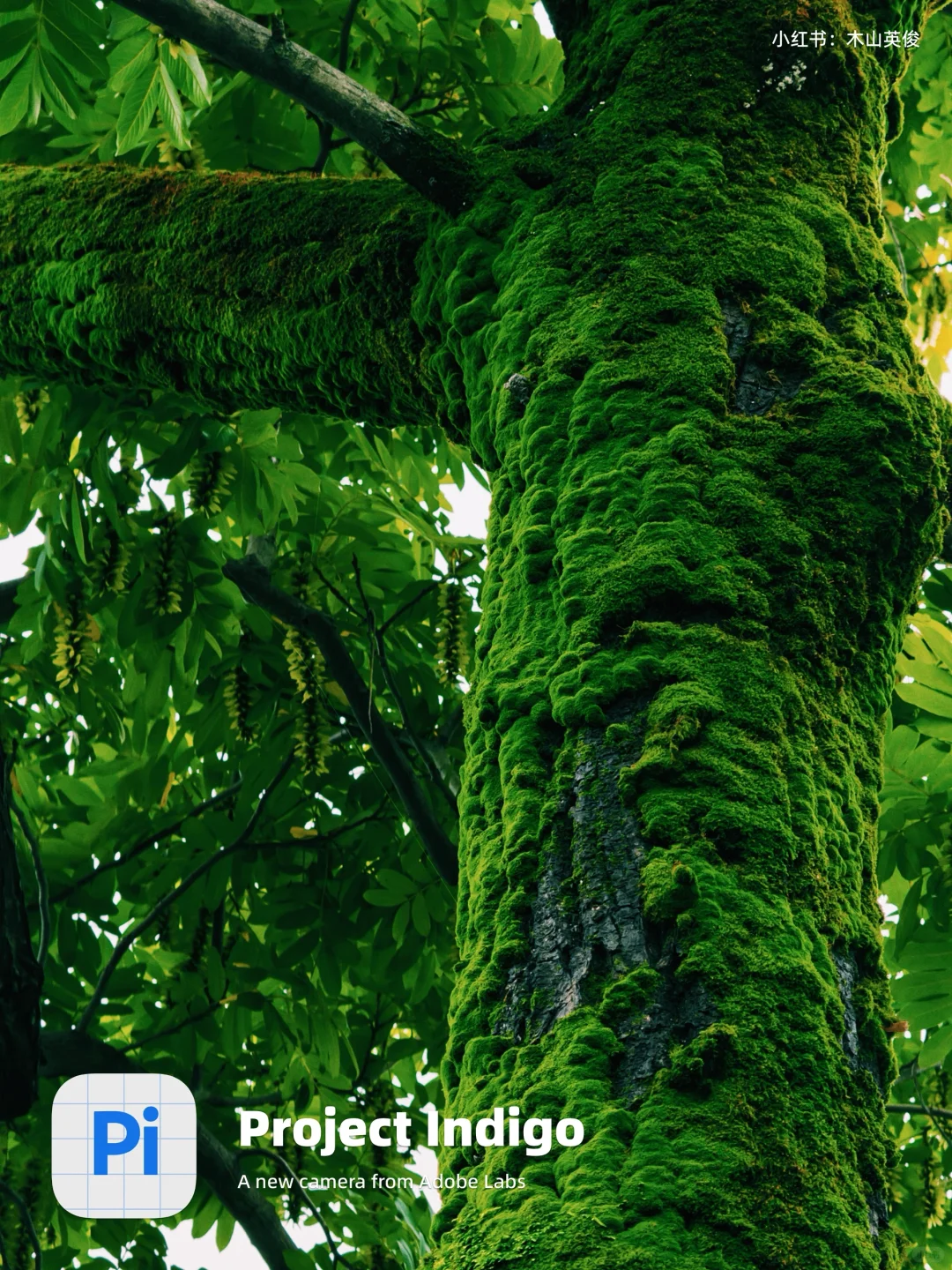 10年索尼，被 indigo app 惊艳！