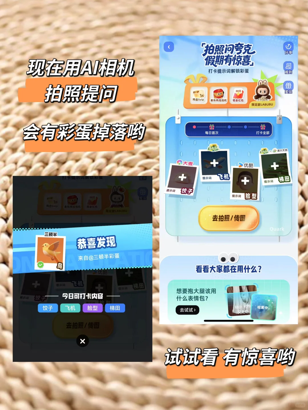 爱上夸克 离不开根本离不开的好朋友