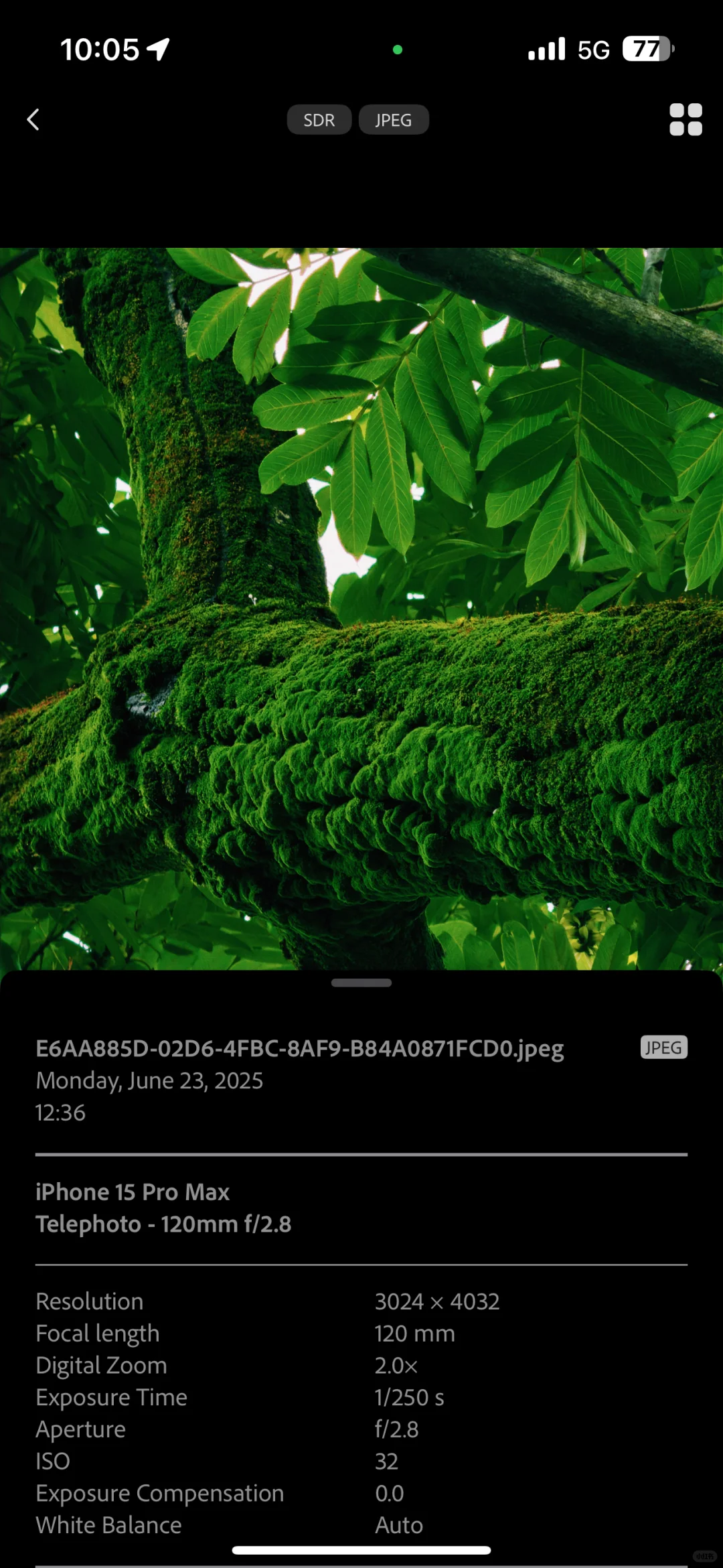 10年索尼，被 indigo app 惊艳！