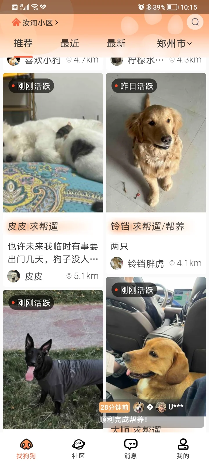 喜欢小狗的有福了