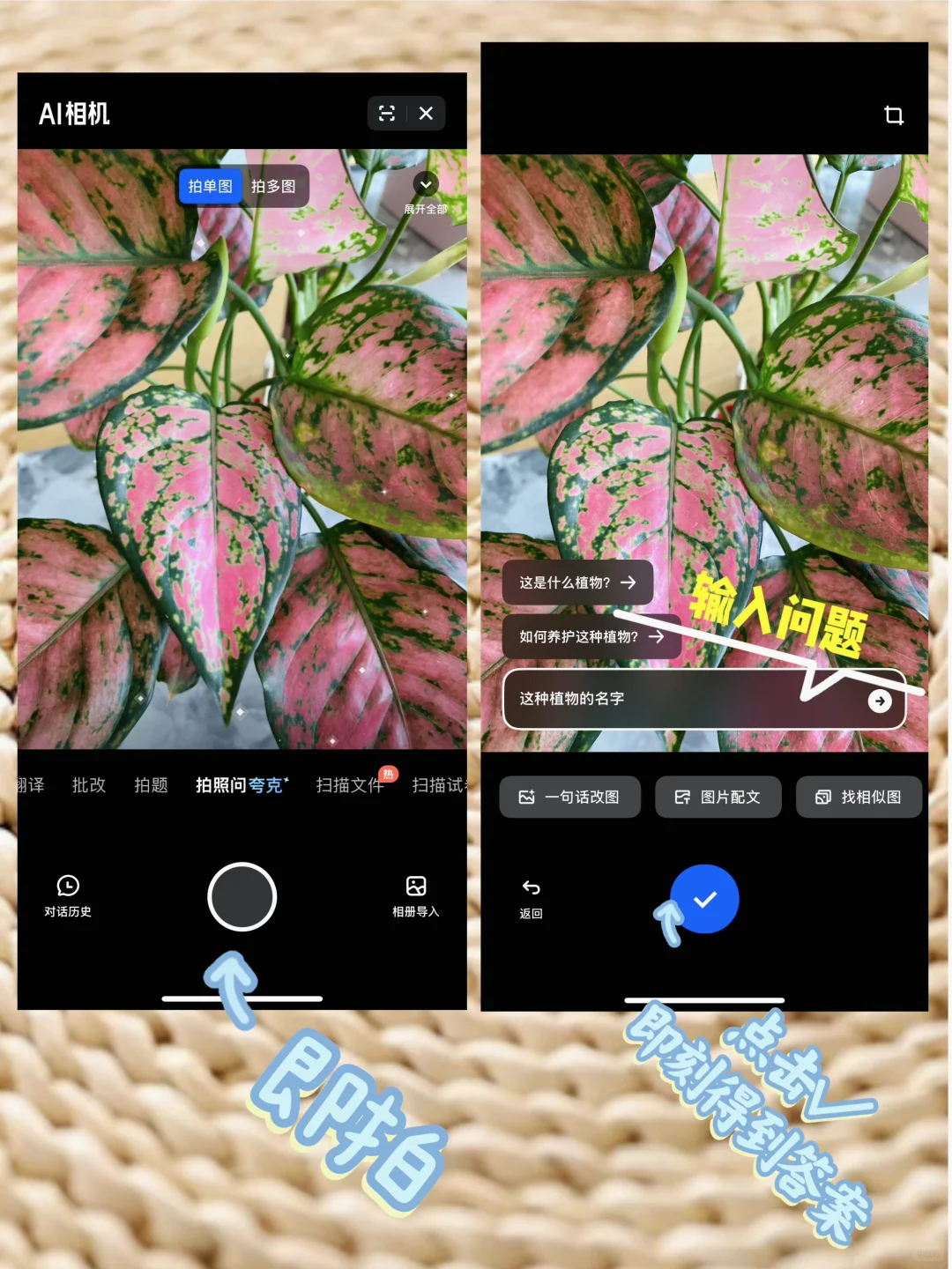 爱上夸克 离不开根本离不开的好朋友