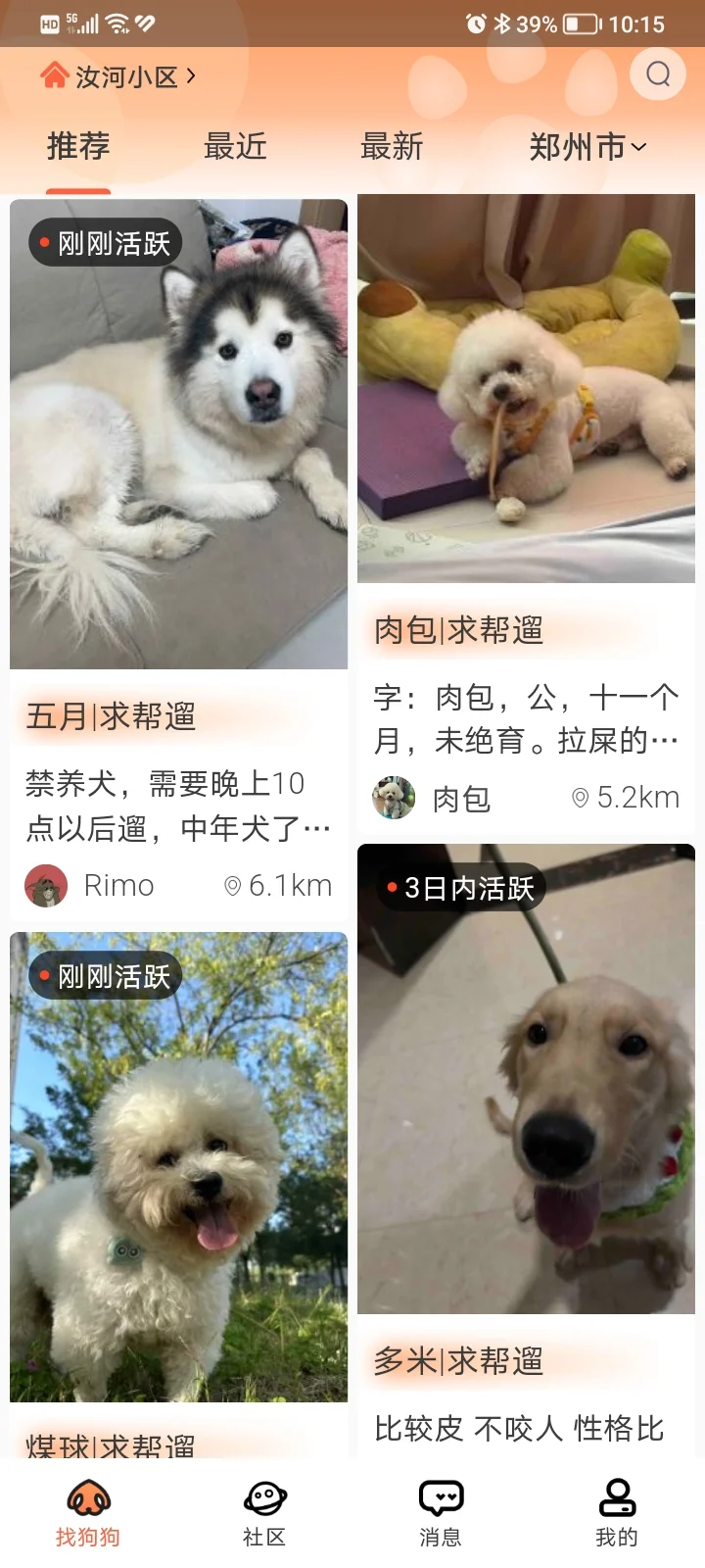 喜欢小狗的有福了